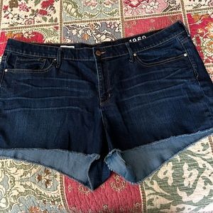 Gap Summer Cut off shorts NWOT